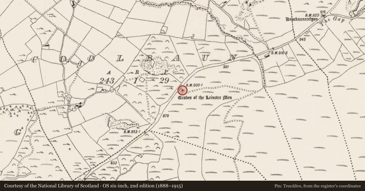 Ordnance Survey six-inch map, 2nd edition (1888–1915) covering the location of Anomalous stone group, Coolbaun (Templeachally Par.), County Tipperary North, with a pin at the register's coordinates