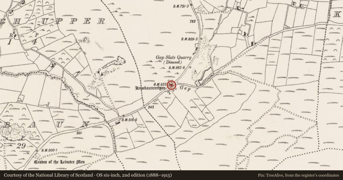 Ordnance Survey six-inch map, 2nd edition (1888–1915) covering the location of Anomalous stone group, Cloneybrien, County Tipperary North, with a pin at the register's coordinates