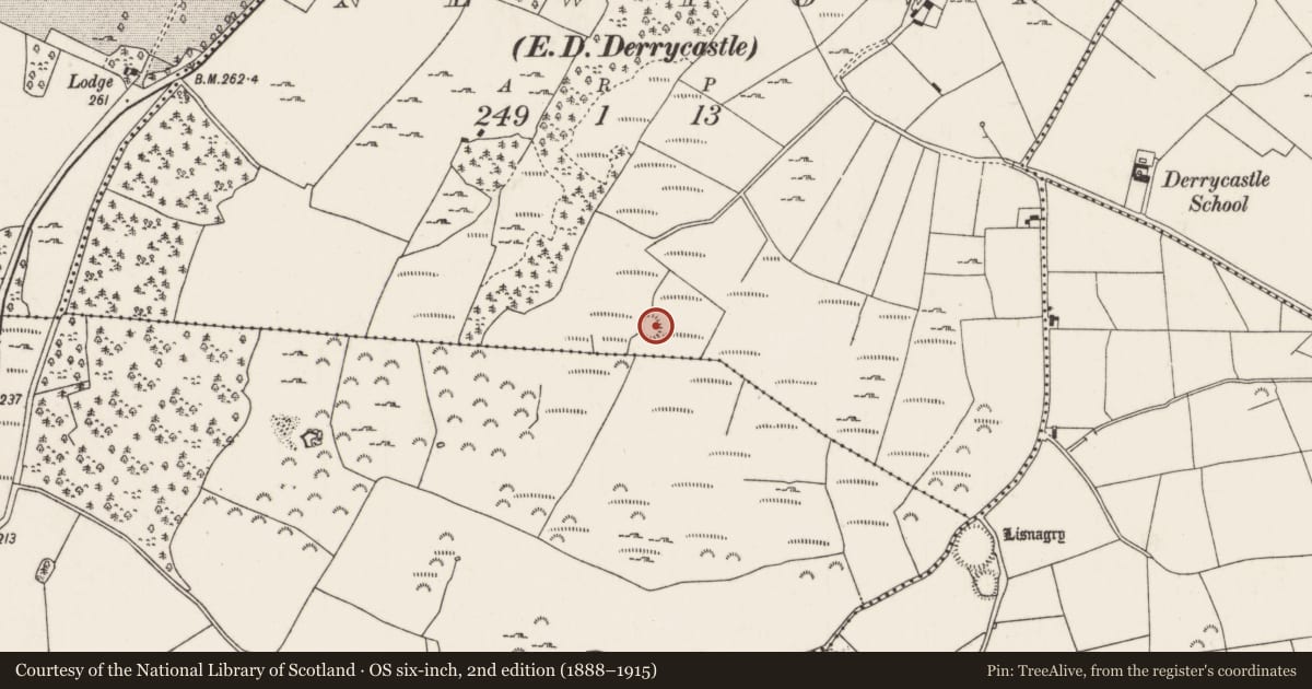 Ordnance Survey six-inch map, 2nd edition (1888–1915) covering the location of Ringfort - rath, Newtown (Templeachally Par.), County Tipperary North, with a pin at the register's coordinates