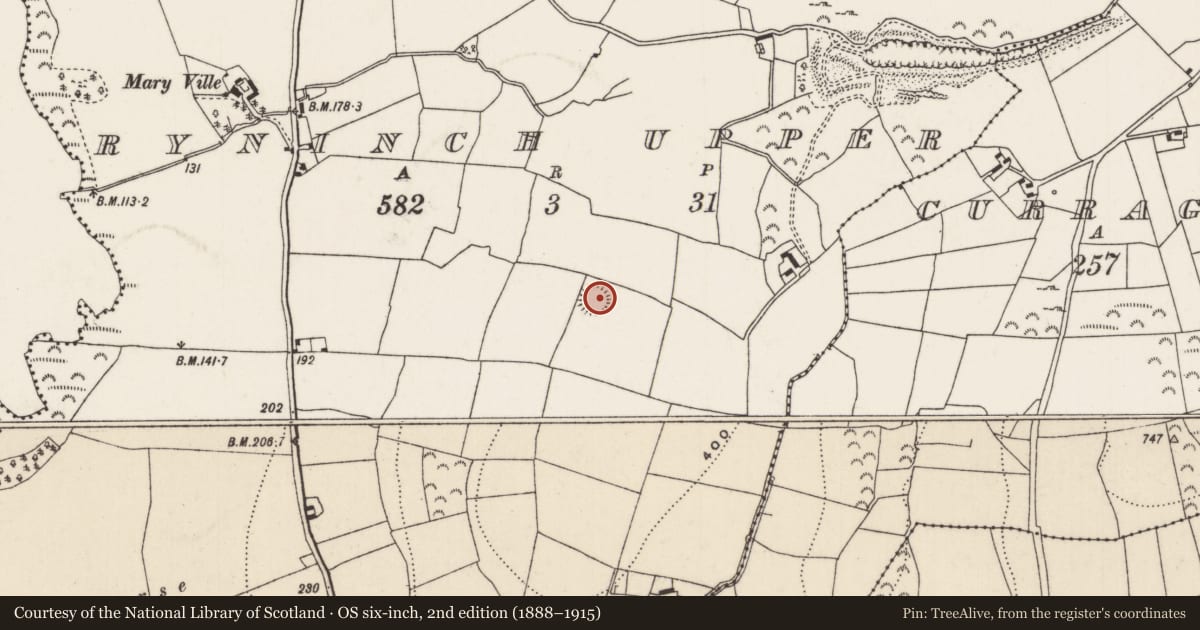 Ordnance Survey six-inch map, 2nd edition (1888–1915) covering the location of Ringfort - rath, Ryninch Upper, County Tipperary North, with a pin at the register's coordinates