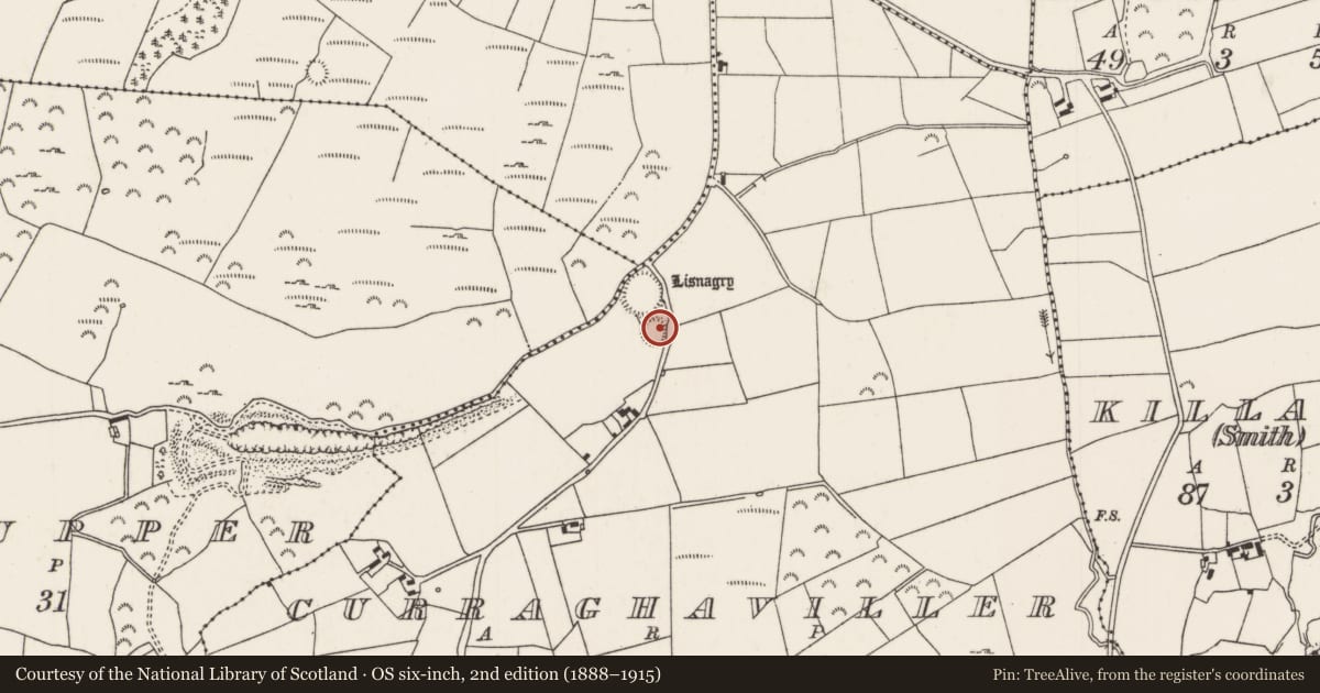 Ordnance Survey six-inch map, 2nd edition (1888–1915) covering the location of Ringfort - rath, Curraghaviller, Ryninch Upper, County Tipperary North, with a pin at the register's coordinates