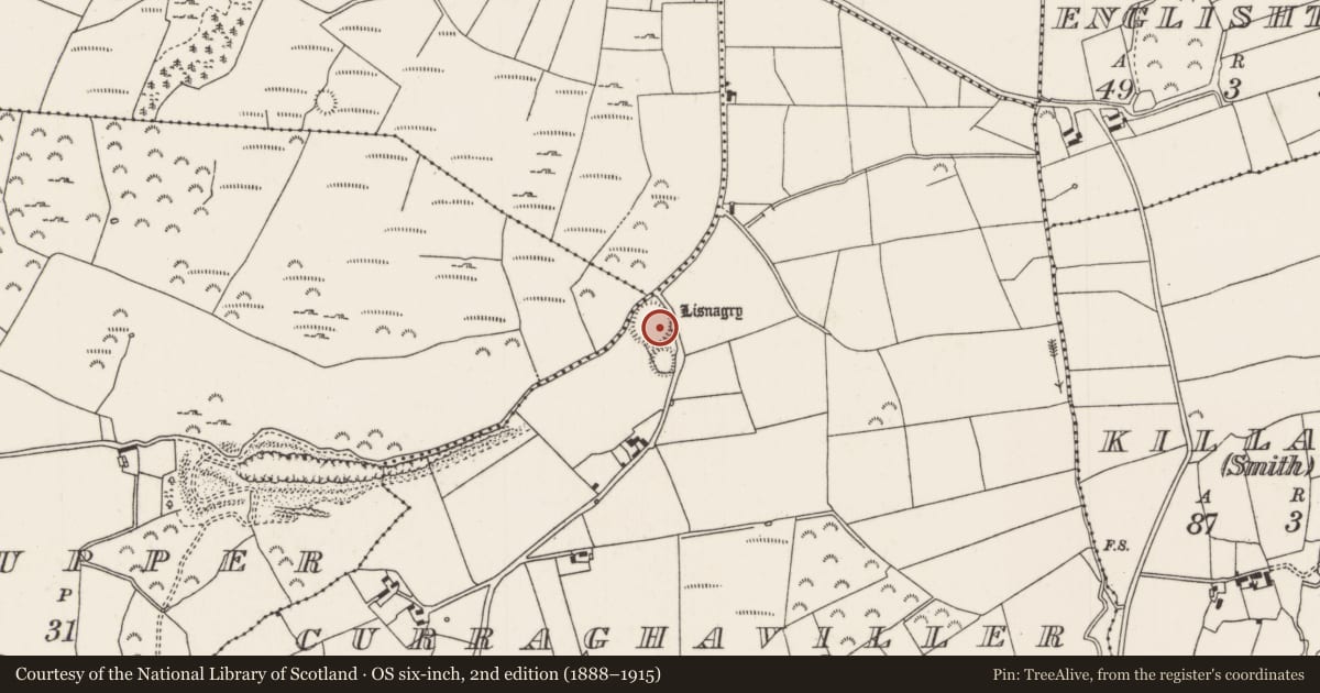Ordnance Survey six-inch map, 2nd edition (1888–1915) covering the location of Ringfort - rath, Curraghaviller, Ryninch Upper, County Tipperary North, with a pin at the register's coordinates