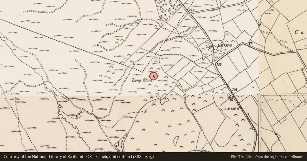 Ordnance Survey six-inch map, 2nd edition (1888–1915) covering the location of Standing stone - pair, Burgesbeg, County Tipperary North, with a pin at the register's coordinates
