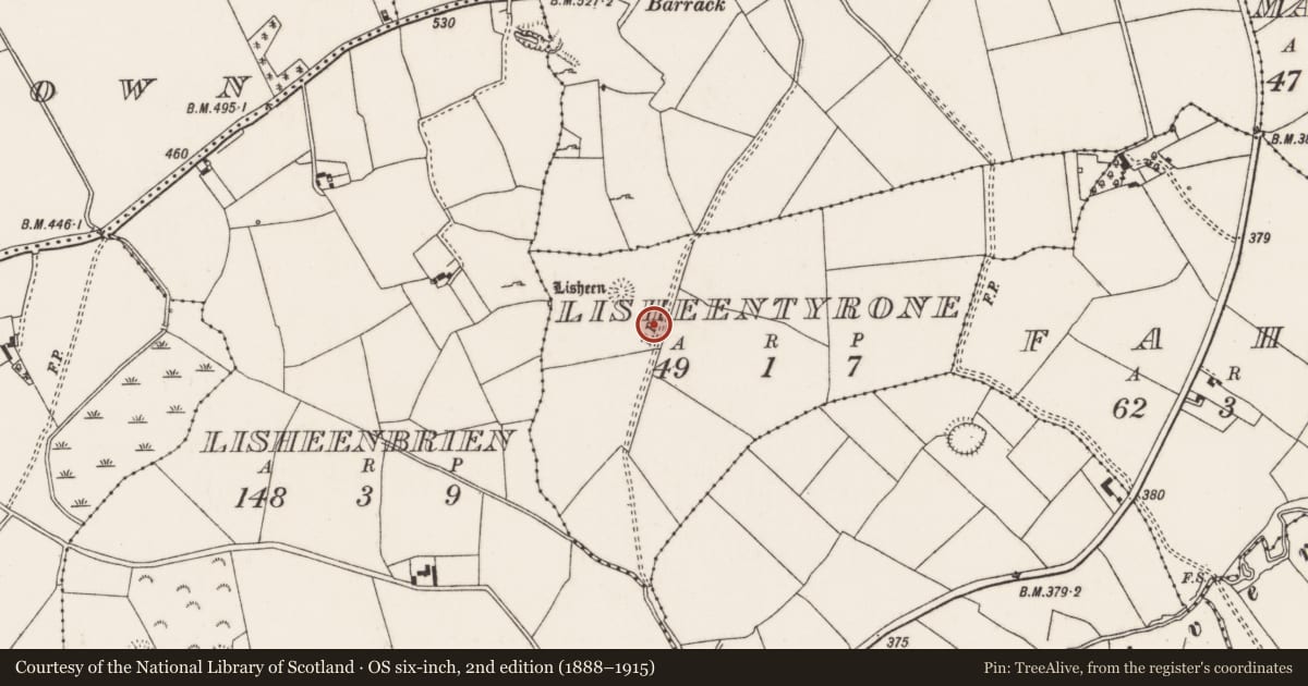 Ordnance Survey six-inch map, 2nd edition (1888–1915) covering the location of Standing stone - pair, Lisheentyrone, County Tipperary North, with a pin at the register's coordinates