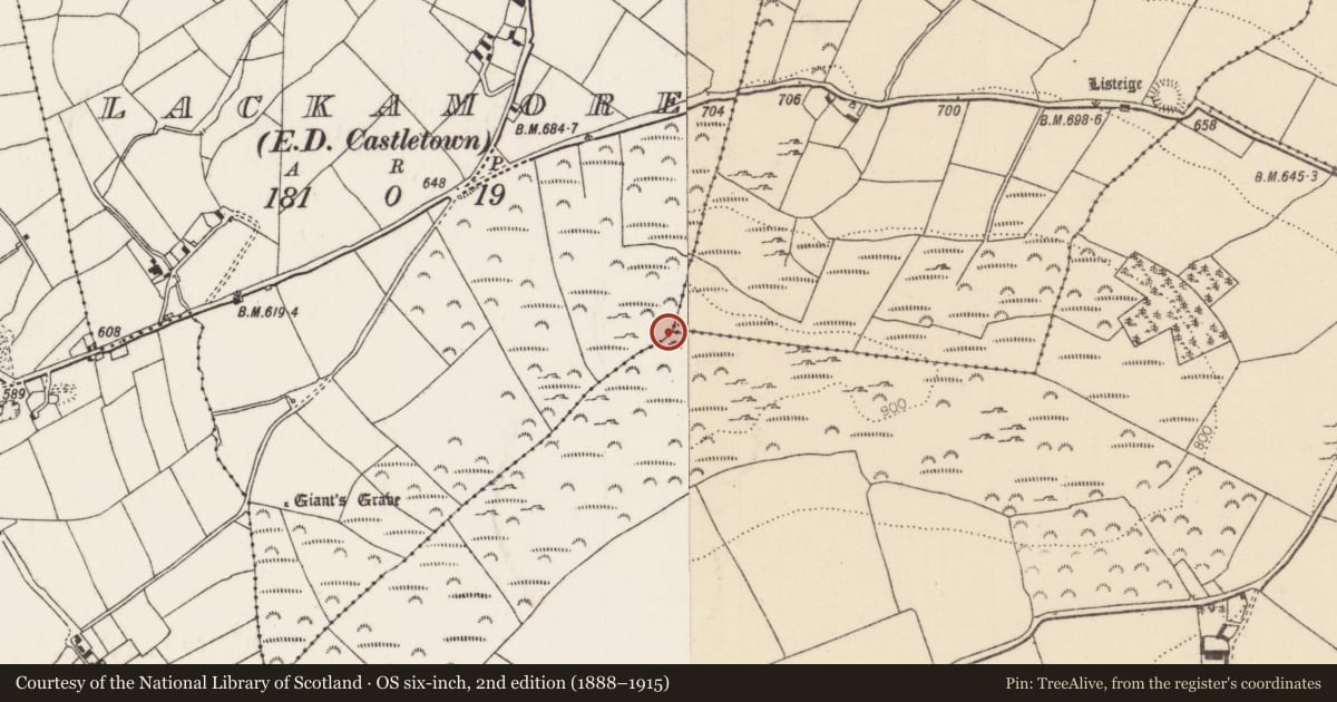 Ordnance Survey six-inch map, 2nd edition (1888–1915) covering the location of Castle - unclassified, County Tipperary North, with a pin at the register's coordinates