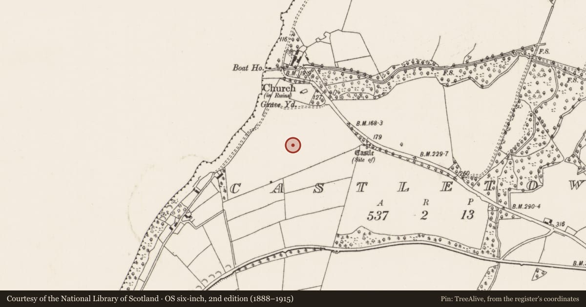 Ordnance Survey six-inch map, 2nd edition (1888–1915) covering the location of Enclosure, Castletown (Castletownarra Par.), County Tipperary North, with a pin at the register's coordinates