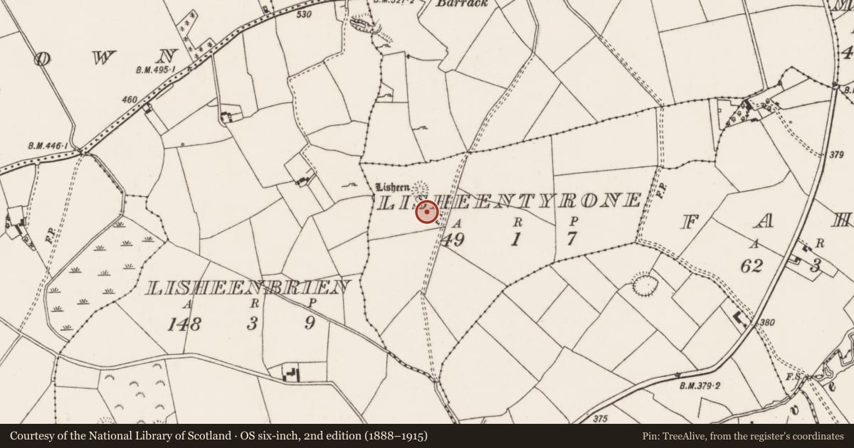 Ordnance Survey six-inch map, 2nd edition (1888–1915) covering the location of Rock art, Lisheentyrone, County Tipperary North, with a pin at the register's coordinates