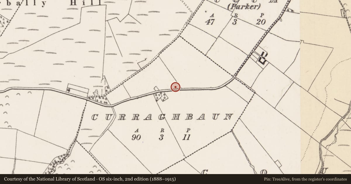 Ordnance Survey six-inch map, 2nd edition (1888–1915) covering the location of Standing stone - pair, Curraghbaun, County Tipperary North, with a pin at the register's coordinates