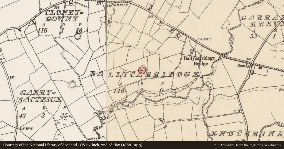 Ordnance Survey six-inch map, 2nd edition (1888–1915) covering the location of Ringfort - rath, Ballycarridoge, County Tipperary North, with a pin at the register's coordinates