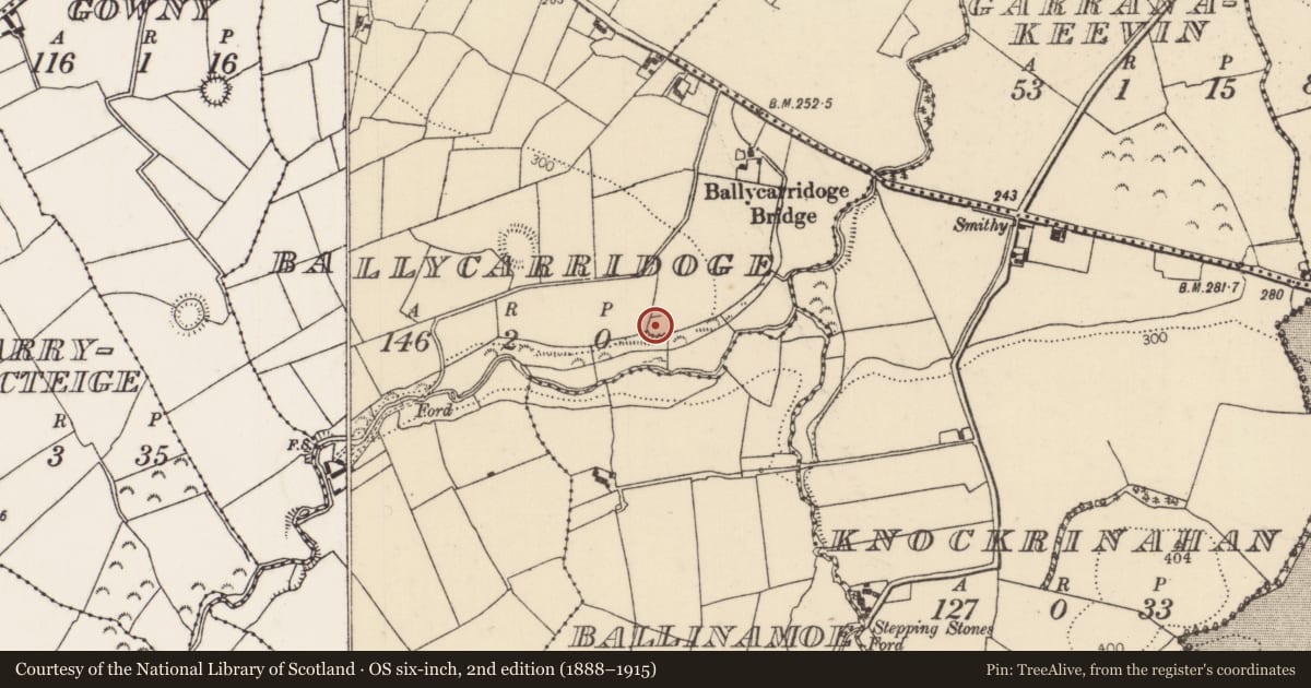 Ordnance Survey six-inch map, 2nd edition (1888–1915) covering the location of Ringfort - rath, Ballycarridoge, County Tipperary North, with a pin at the register's coordinates