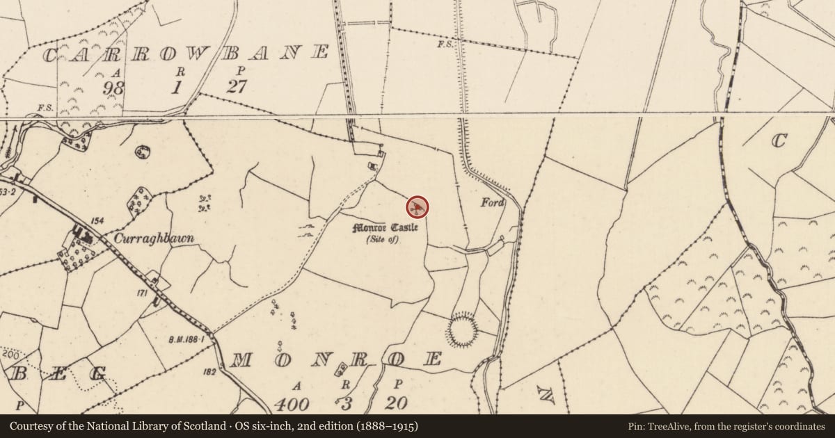 Ordnance Survey six-inch map, 2nd edition (1888–1915) covering the location of Castle - unclassified, Monroe (Youghalarra Par.), County Tipperary North, with a pin at the register's coordinates