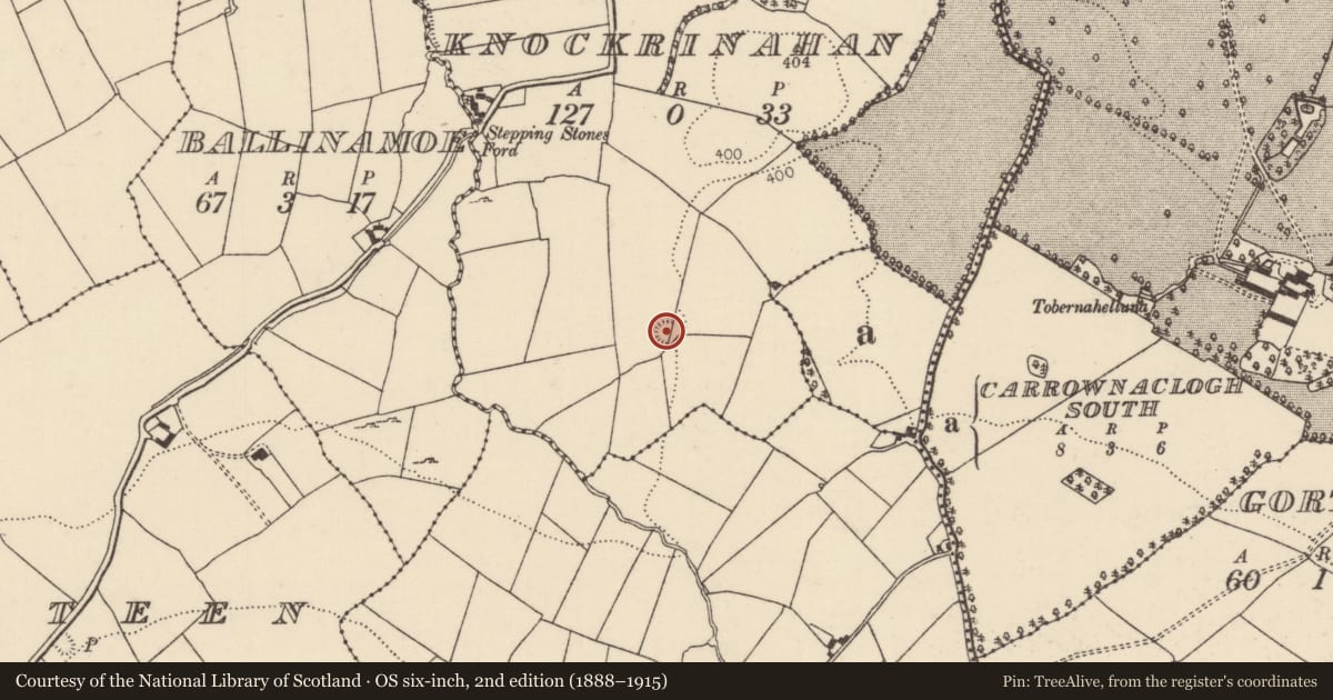 Ordnance Survey six-inch map, 2nd edition (1888–1915) covering the location of Ringfort - rath, Knockrinahan, County Tipperary North, with a pin at the register's coordinates