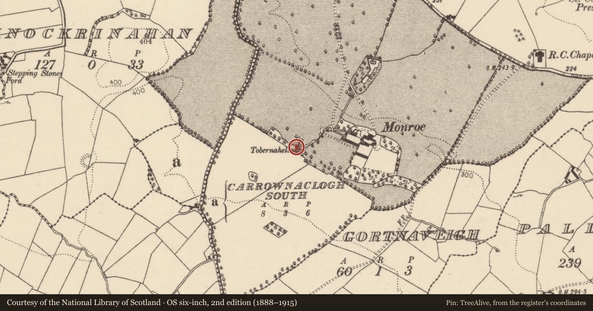 Ordnance Survey six-inch map, 2nd edition (1888–1915) covering the location of Well, Monroe (Youghalarra Par.), County Tipperary North, with a pin at the register's coordinates