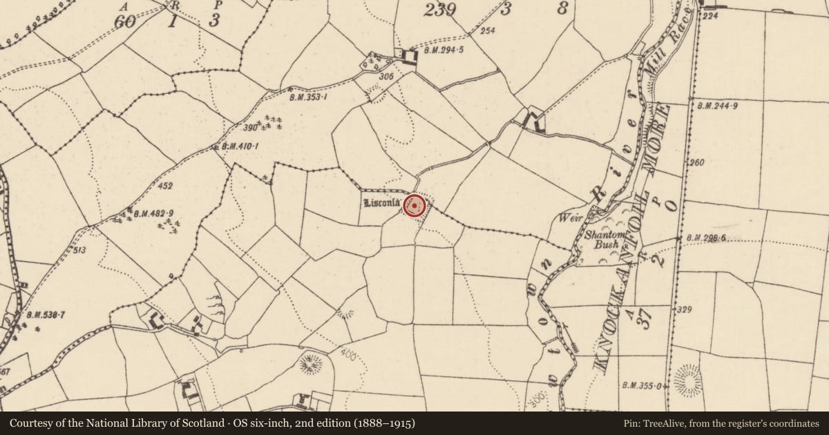 Ordnance Survey six-inch map, 2nd edition (1888–1915) covering the location of Moated site, Pallas Beg, Pallas More, County Tipperary North, with a pin at the register's coordinates
