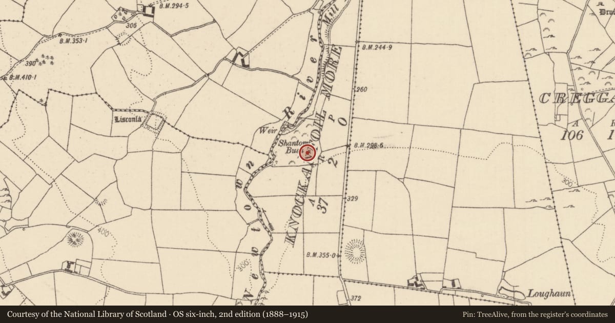 Ordnance Survey six-inch map, 2nd edition (1888–1915) covering the location of Ritual site - holy tree/bush, Knockanfoil More, County Tipperary North, with a pin at the register's coordinates