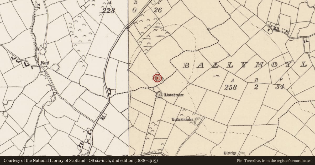 Ordnance Survey six-inch map, 2nd edition (1888–1915) covering the location of Ringfort - rath, Kilparteen, County Tipperary North, with a pin at the register's coordinates
