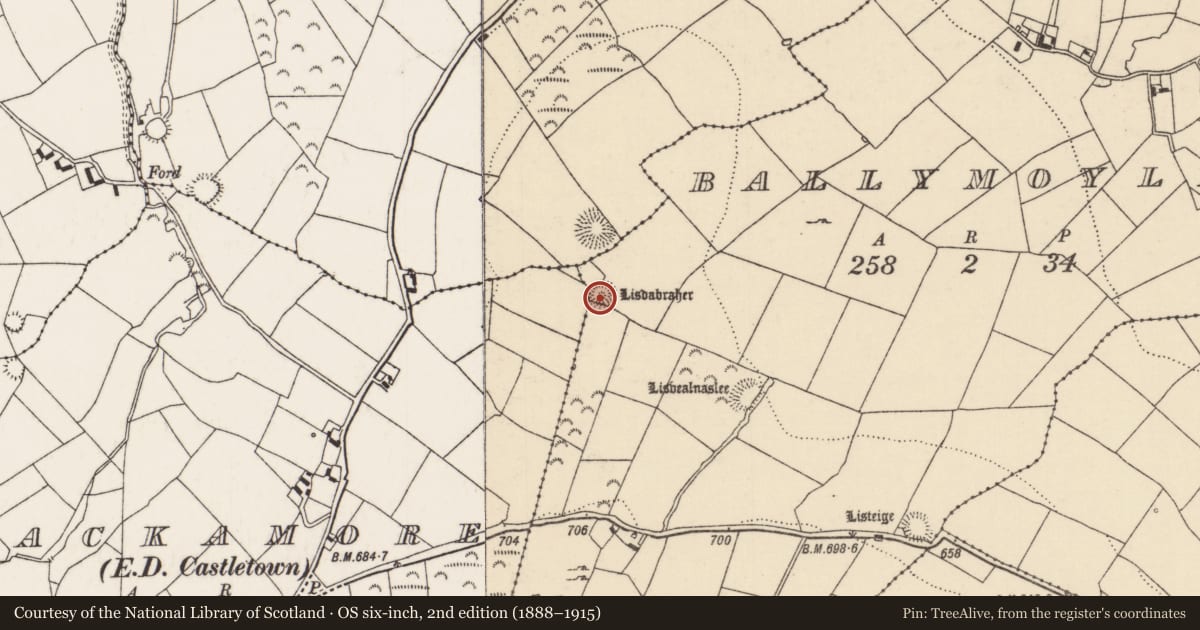 Ordnance Survey six-inch map, 2nd edition (1888–1915) covering the location of Ringfort - rath, Ballymoylin, Lackamore (Castletownarra Par.), County Tipperary North, with a pin at the register's coordinates