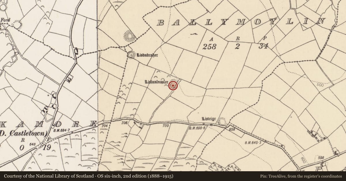 Ordnance Survey six-inch map, 2nd edition (1888–1915) covering the location of Ringfort - rath, Ballymoylin, County Tipperary North, with a pin at the register's coordinates