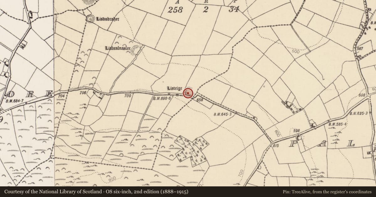 Ordnance Survey six-inch map, 2nd edition (1888–1915) covering the location of Ringfort - rath, Ballymoylin, County Tipperary North, with a pin at the register's coordinates