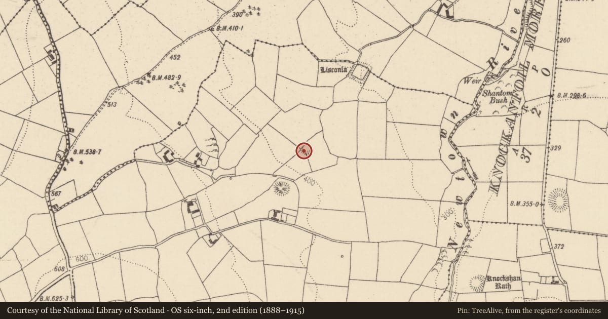 Ordnance Survey six-inch map, 2nd edition (1888–1915) covering the location of Ringfort - rath, Pallas More, County Tipperary North, with a pin at the register's coordinates