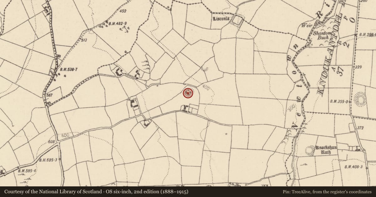 Ordnance Survey six-inch map, 2nd edition (1888–1915) covering the location of Ringfort - rath, Pallas More, County Tipperary North, with a pin at the register's coordinates