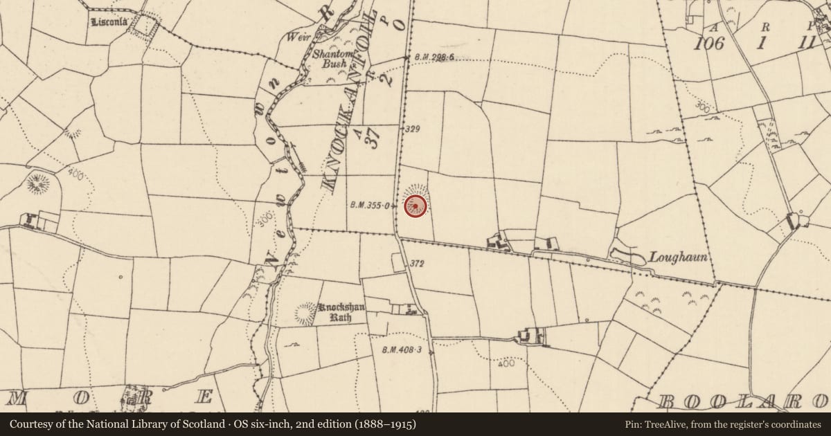 Ordnance Survey six-inch map, 2nd edition (1888–1915) covering the location of Ringfort - rath, Newtown (Youghalarra Par.), County Tipperary North, with a pin at the register's coordinates