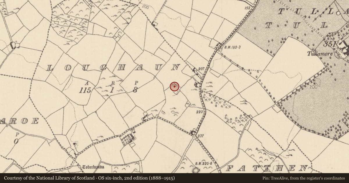 Ordnance Survey six-inch map, 2nd edition (1888–1915) covering the location of Ringfort - rath, Loughaun (Youghalarra Par.), County Tipperary North, with a pin at the register's coordinates