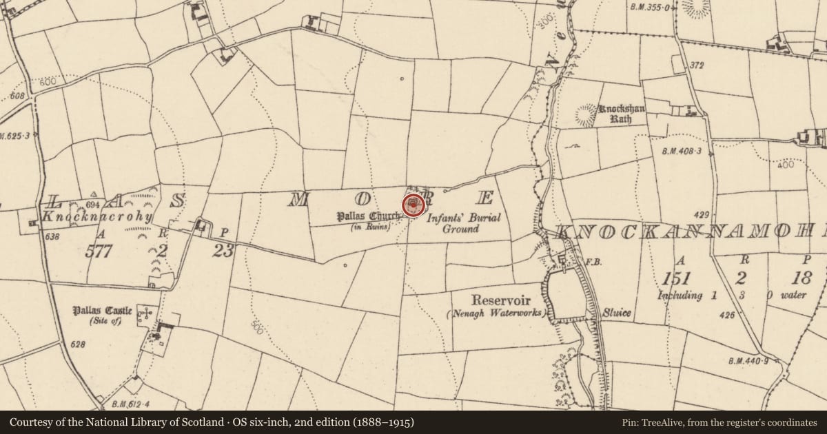 Ordnance Survey six-inch map, 2nd edition (1888–1915) covering the location of Church, Pallas More, County Tipperary North, with a pin at the register's coordinates