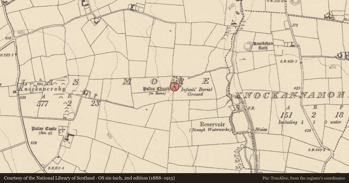 Ordnance Survey six-inch map, 2nd edition (1888–1915) covering the location of Children's burial ground, Pallas More, County Tipperary North, with a pin at the register's coordinates