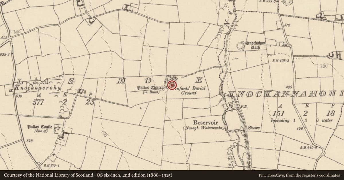 Ordnance Survey six-inch map, 2nd edition (1888–1915) covering the location of Graveyard, Pallas More, County Tipperary North, with a pin at the register's coordinates
