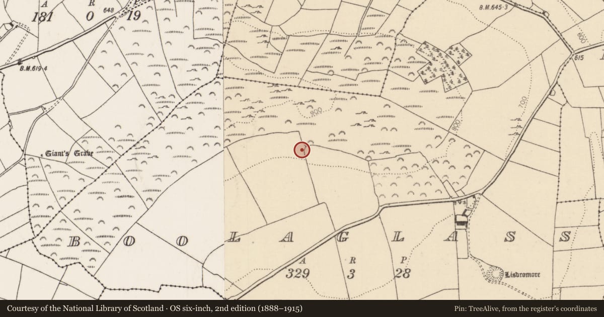 Ordnance Survey six-inch map, 2nd edition (1888–1915) covering the location of Enclosure, Boolaglass, County Tipperary North, with a pin at the register's coordinates