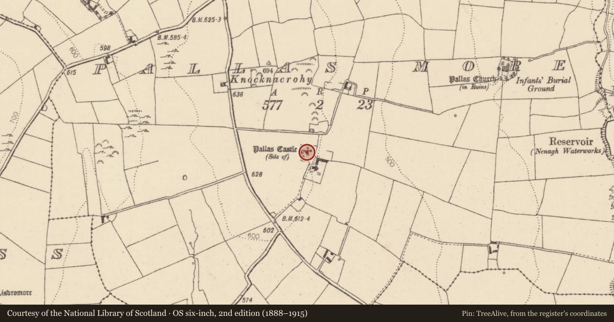 Ordnance Survey six-inch map, 2nd edition (1888–1915) covering the location of Castle - Anglo-Norman masonry castle, Pallas More, County Tipperary North, with a pin at the register's coordinates