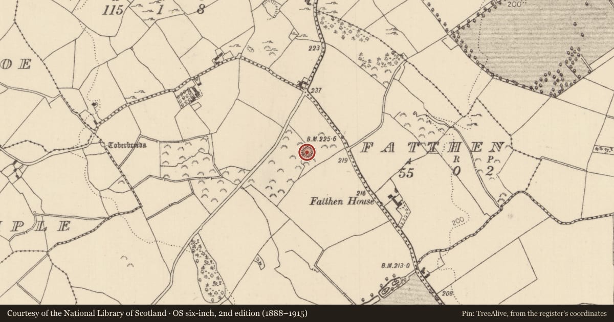Ordnance Survey six-inch map, 2nd edition (1888–1915) covering the location of Designed landscape feature, Kilcolman (Youghalarra Par.), County Tipperary North, with a pin at the register's coordinates