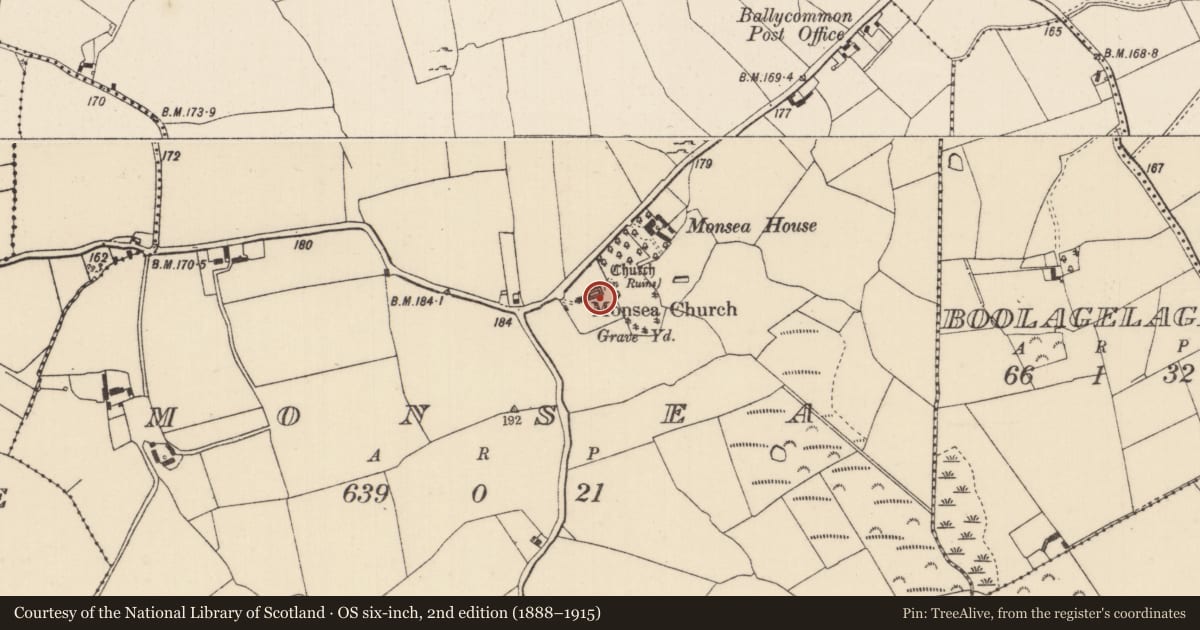 Ordnance Survey six-inch map, 2nd edition (1888–1915) covering the location of Graveslab, Monsea, County Tipperary North, with a pin at the register's coordinates