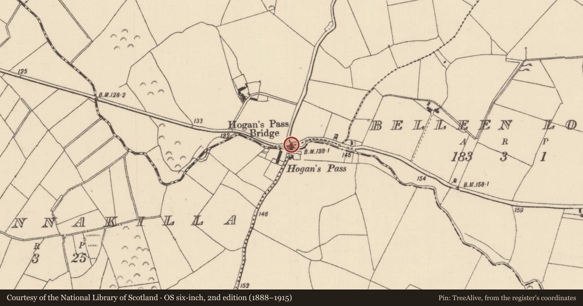 Ordnance Survey six-inch map, 2nd edition (1888–1915) covering the location of Ford, Monsea, County Tipperary North, with a pin at the register's coordinates