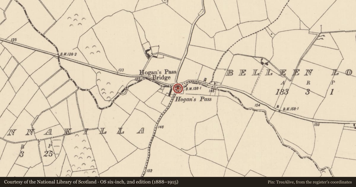 Ordnance Survey six-inch map, 2nd edition (1888–1915) covering the location of Bridge, County Tipperary North, with a pin at the register's coordinates