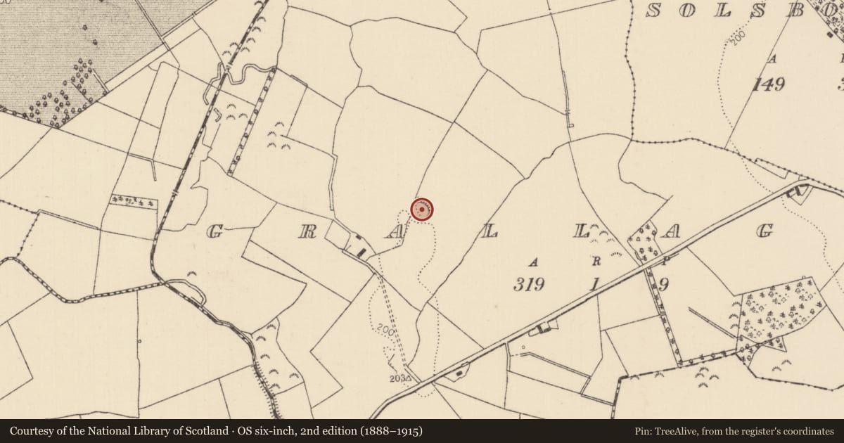 Ordnance Survey six-inch map, 2nd edition (1888–1915) covering the location of Ringfort - rath, Grallagh (Monsea Par.), County Tipperary North, with a pin at the register's coordinates
