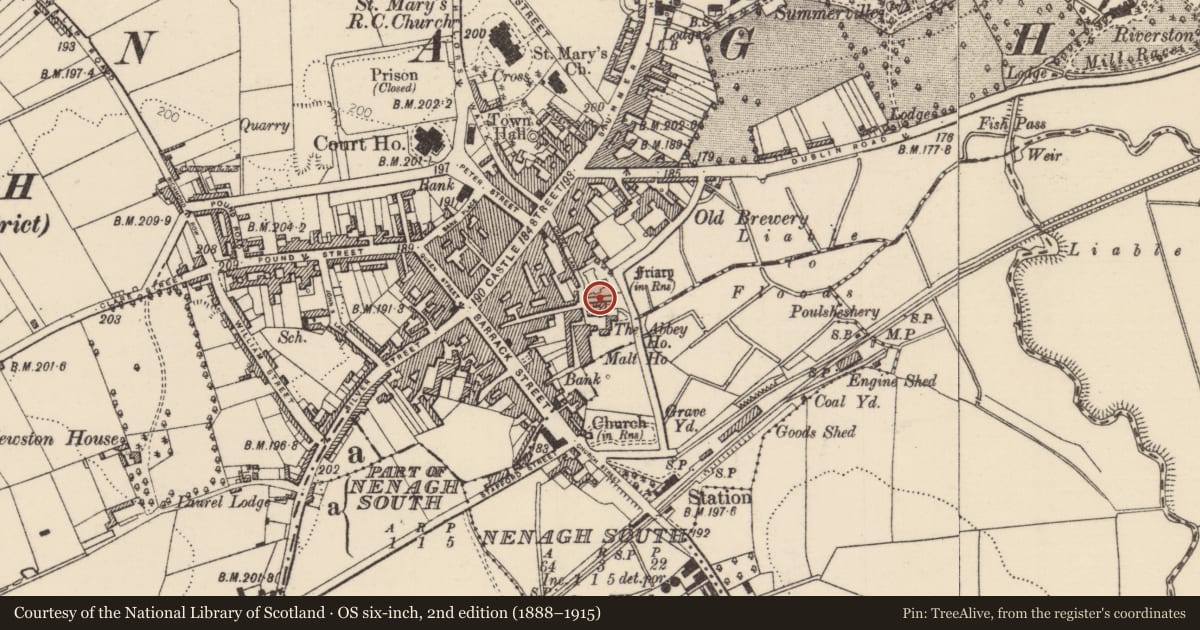 Ordnance Survey six-inch map, 2nd edition (1888–1915) covering the location of Religious house - Franciscan friars, Nenagh North, County Tipperary North, with a pin at the register's coordinates