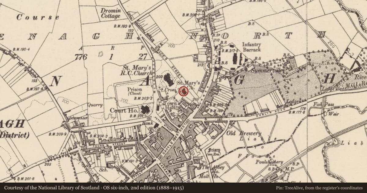Ordnance Survey six-inch map, 2nd edition (1888–1915) covering the location of Memorial stone, Nenagh North, County Tipperary North, with a pin at the register's coordinates