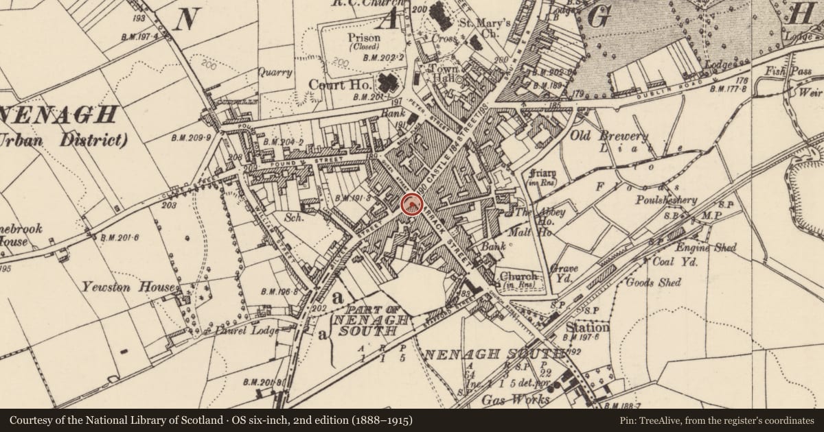 Ordnance Survey six-inch map, 2nd edition (1888–1915) covering the location of Town defences, Nenagh South, Nenagh North, County Tipperary North, with a pin at the register's coordinates