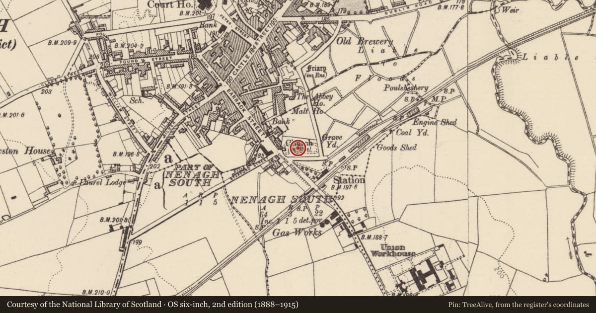 Ordnance Survey six-inch map, 2nd edition (1888–1915) covering the location of Graveyard, Nenagh North, County Tipperary North, with a pin at the register's coordinates