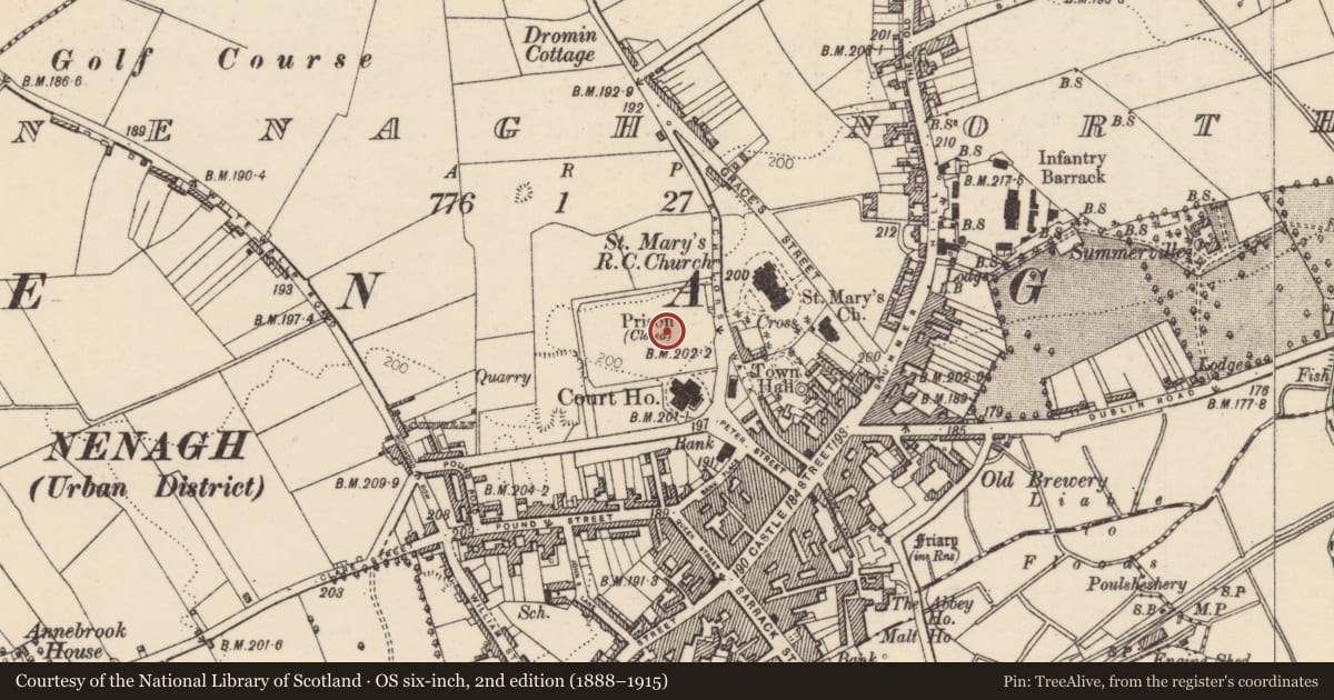 Ordnance Survey six-inch map, 2nd edition (1888–1915) covering the location of Cross-slab (present location), Nenagh North, County Tipperary North, with a pin at the register's coordinates