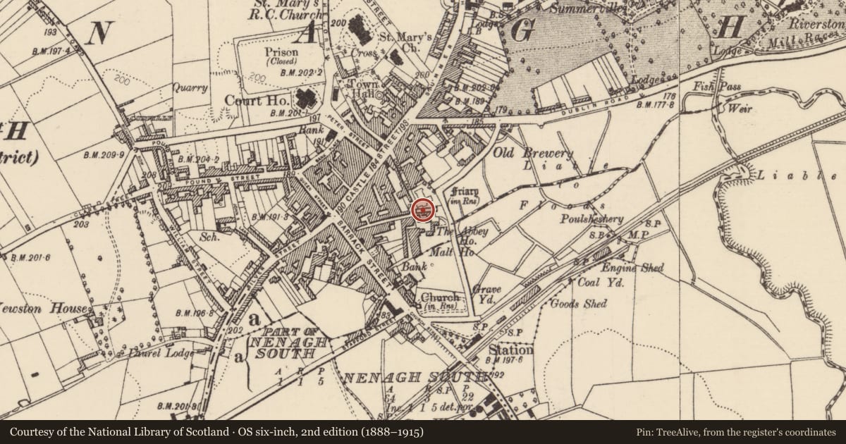 Ordnance Survey six-inch map, 2nd edition (1888–1915) covering the location of Tomb - effigial, Nenagh North, County Tipperary North, with a pin at the register's coordinates