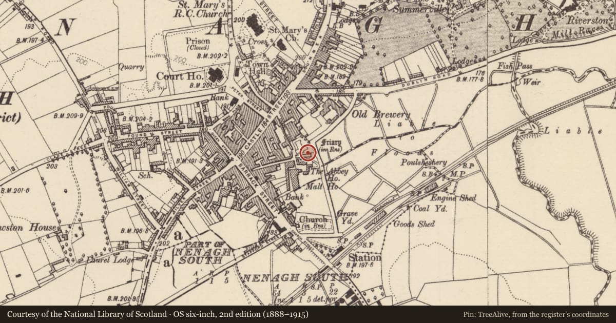 Ordnance Survey six-inch map, 2nd edition (1888–1915) covering the location of Graveslab, Nenagh North, County Tipperary North, with a pin at the register's coordinates