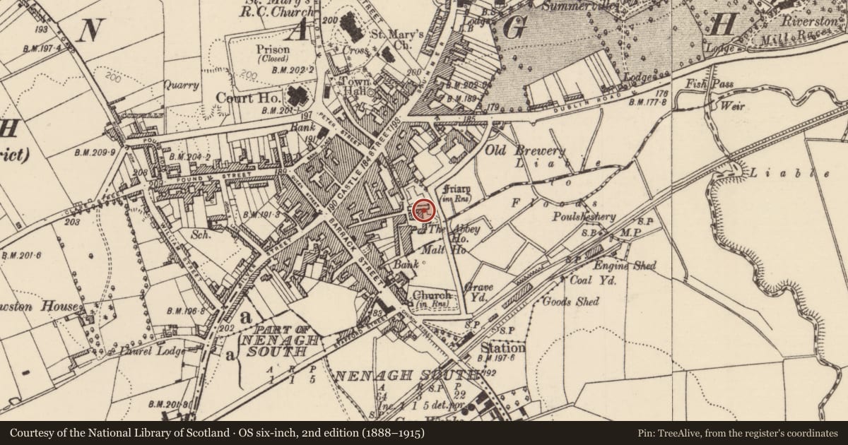 Ordnance Survey six-inch map, 2nd edition (1888–1915) covering the location of Graveslab, Nenagh North, County Tipperary North, with a pin at the register's coordinates
