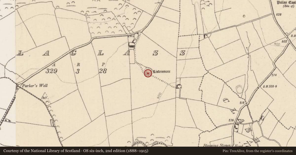 Ordnance Survey six-inch map, 2nd edition (1888–1915) covering the location of Ringfort - rath, Boolaglass, County Tipperary North, with a pin at the register's coordinates