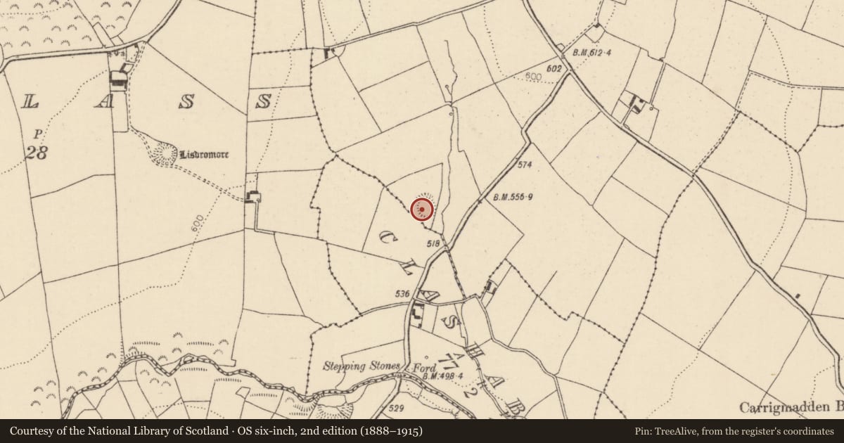 Ordnance Survey six-inch map, 2nd edition (1888–1915) covering the location of Ringfort - rath, Pallas More, County Tipperary North, with a pin at the register's coordinates