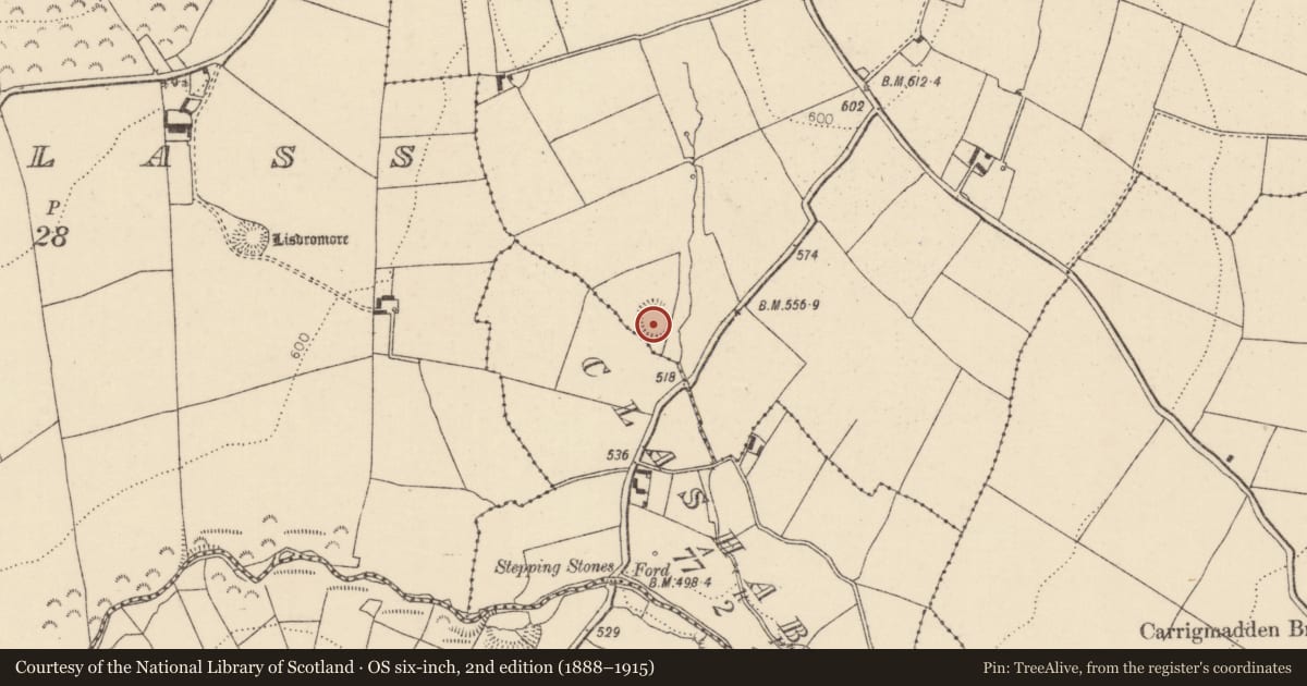 Ordnance Survey six-inch map, 2nd edition (1888–1915) covering the location of Fulacht fia, Pallas More, County Tipperary North, with a pin at the register's coordinates