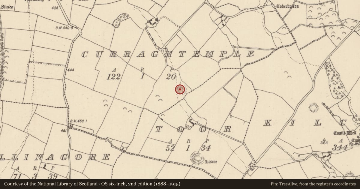 Ordnance Survey six-inch map, 2nd edition (1888–1915) covering the location of Enclosure, Curraghtemple, County Tipperary North, with a pin at the register's coordinates