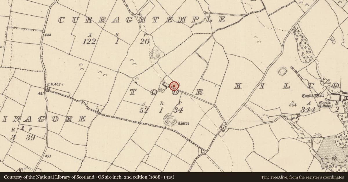 Ordnance Survey six-inch map, 2nd edition (1888–1915) covering the location of Enclosure, Toor (Youghalarra Par.), County Tipperary North, with a pin at the register's coordinates